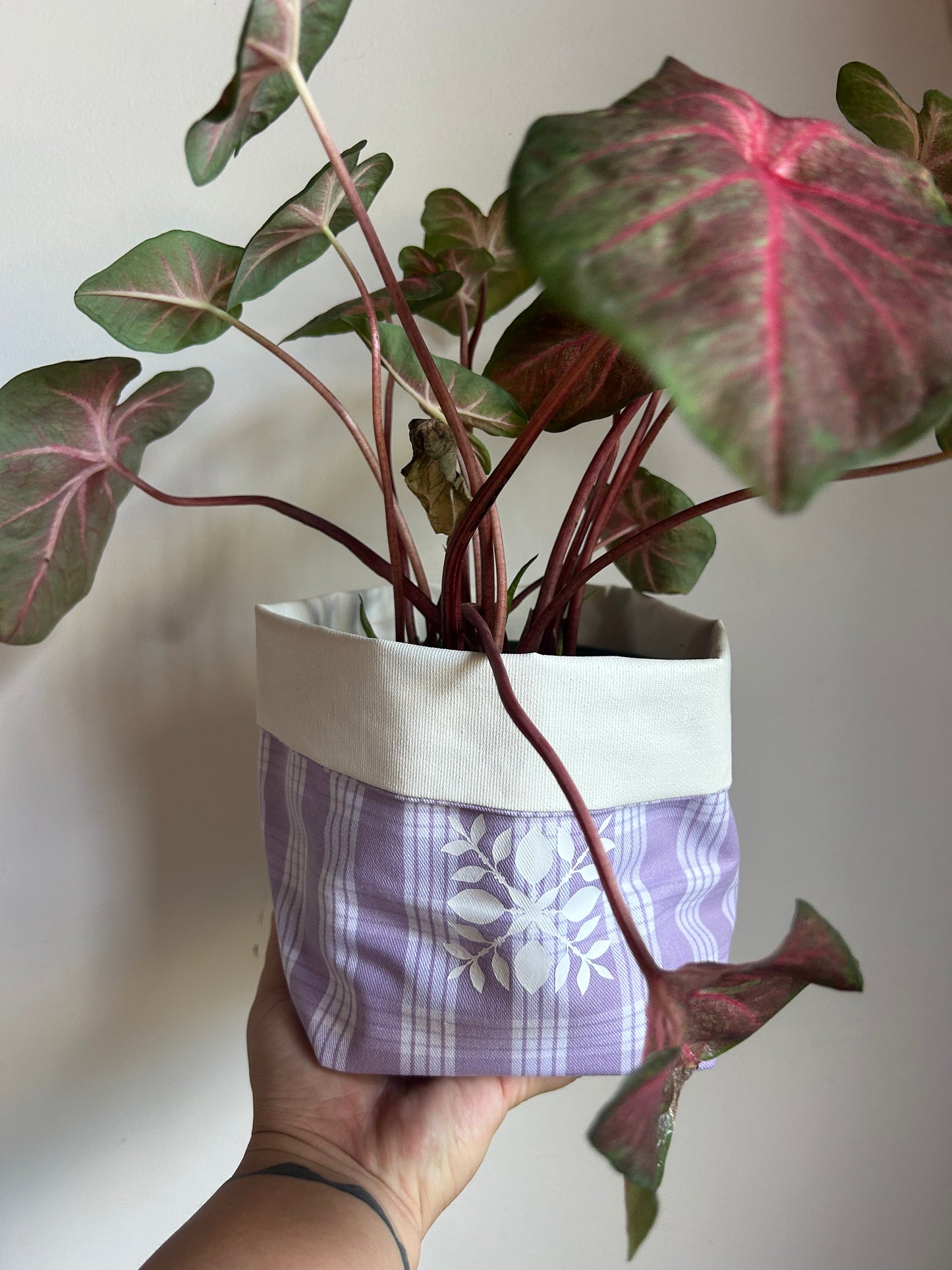 Palaka and Kapa Kuiki Plant Pot